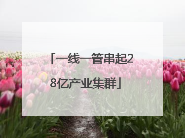 一线一管串起28亿产业集群
